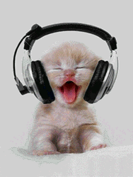 Cute Cat Dancing Music Jam Headphones GIF