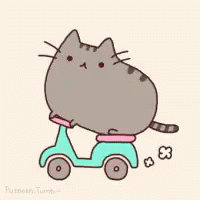 Cute Cat Driving Animation