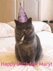 Cute Cat Greeting Happy Birthday Mary