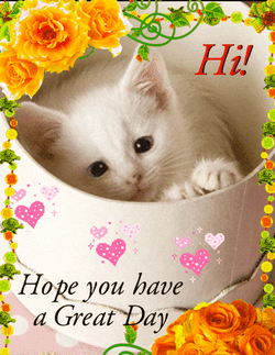 Cute Cat Hoping For Wonderful Day GIF