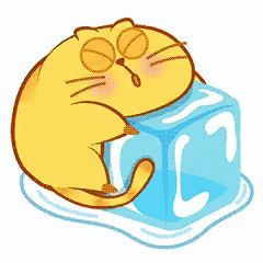 Cute Cat Hug Ice Cube GIF