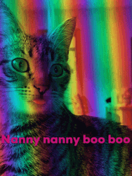 Cute Cat Nanny Boo Boo