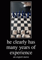 Cute Cat Playing Chess GIF