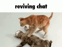 Cute Cat Reviving Chat