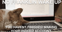 Cute Cat Sleeping Making Indeed Account  GIF