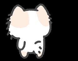 Cute Cat Wink Heart GIF