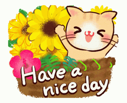 Cute Cat With Flowers Wonderful Day GIF