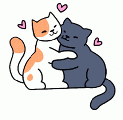 Cute Cats Animated Hug GIF