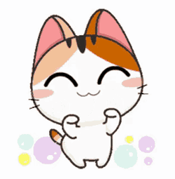 Cute Cats Cute Animals GIF