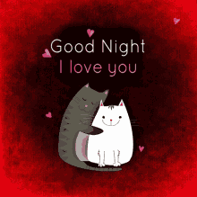Cute Cats Hugs Good Night I Love You GIF
