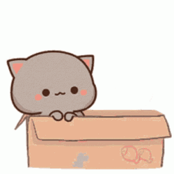 Cute Cats Inside Box GIF