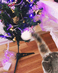 Cute Christmas Cat Playing Christmas Ball GIF