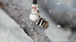Cute Christmas Celebration Of A Spider GIF