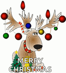 Cute Christmas Dog In Deer Costume GIF
