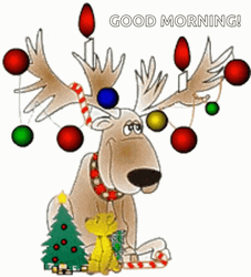Cute Christmas Good Morning Greeting GIF