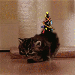 Cute Christmas Tail Of A Kitten GIF