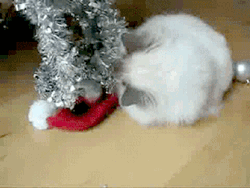 Cute Christmas Tree Played By A Cat GIF