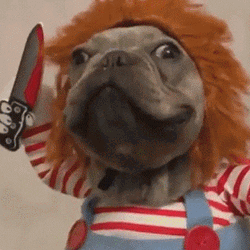 Cute Chucky Dog Start Stabbing GIF | GIFDB.com