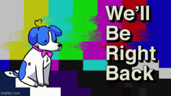 Cute Colorful Dog In Be Right Back Theme GIF