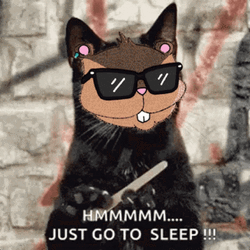 Cute Cool Black Cat Hmm GIF