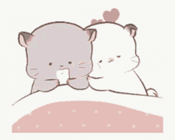 Cute Cuddling And Snuggle Cat GIF