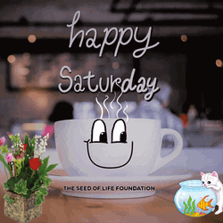 Cute Cup Cartoon Saturday Morning GIF