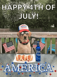 Cute Dog Happy Fourth Of July Fireworks GIF