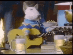 Cute Dog Playing Guitar