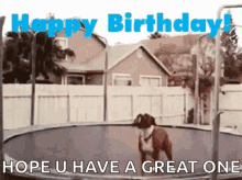 Cute Dog Trampoline Happy Birthday Boss Greeting Fun GIF
