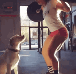 Cute Dog Workout Motivation GIF