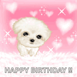 Cute Dogs Happy Birthday GIF