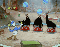 Cute Donald Duck Seal Circus Juggling Stunt GIF