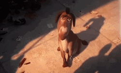 Cute Donkey Shrek GIF
