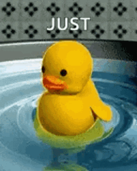 Cute Duck Swimming GIF