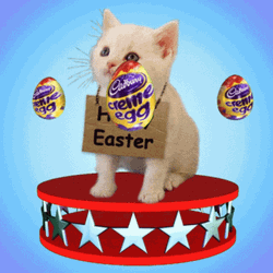 Cute Easter Egg Cat Spin GIF