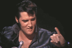 Cute Elvis Prestley Finger Dance GIF