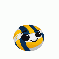 Cute Eyes Volleyball Bouncing
