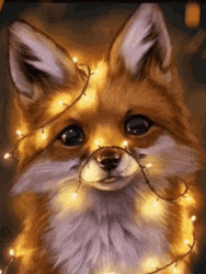 Cute Fox With Fairy Lights