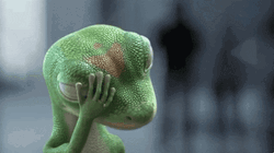 Cute Frustrated Gecko Oy Vey GIF