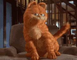 Cute Garfield Dancing In The Chair GIF