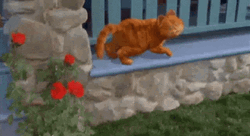 Cute Garfield Dancing Outside The House GIF