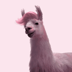 Cute Girly Donkey Staring Out GIF