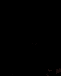 Cute Gold Retriever In Pajamas Good Morning Puppy  GIF