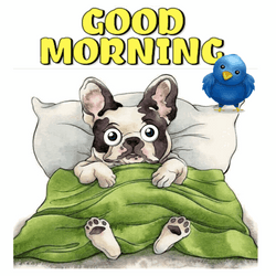 Cute Good Morning Puppies Big Bed GIF