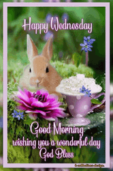 Cute Good Morning Wednesday Brown Bunny GIF