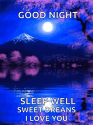 Cute Good Night Serene Lake Blue Night GIF