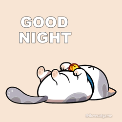 Cute Good Night Snoozing Kitty GIF