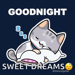 Cute Good Night Sweet Dreams Snoring Kitty GIF