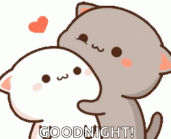 Cute Goodnight Goma Cat Hug GIF