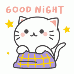 Cute Goodnight Kiki Cat GIF